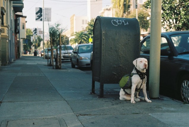 Joe Sterne Photography, lomography iso400 film, #projectfilm, canon ae-1 program, 35mm film