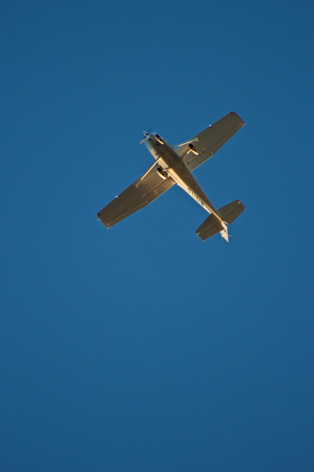 Hawk Hill, Sunset, Joe Sterne Photography, birding, learjet, airplanes,