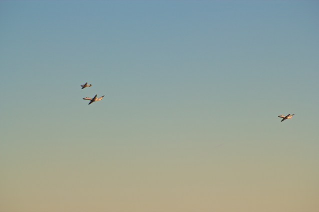 Hawk Hill, Sunset, Joe Sterne Photography, birding, learjet, airplanes,