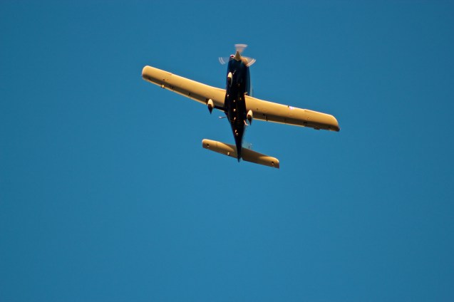 Hawk Hill, Sunset, Joe Sterne Photography, birding, learjet, airplanes,