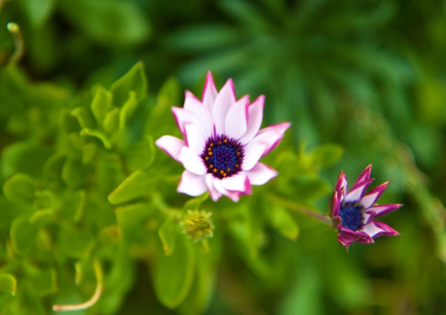 Joe Sterne Photography, monterey beach, California, beach, surf, sand