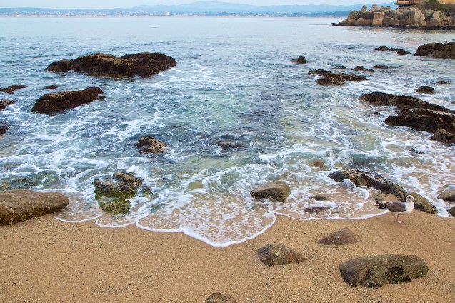 Joe Sterne Photography, monterey beach, California, beach, surf, sand