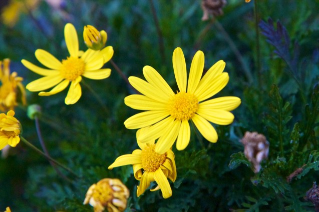 Joe Sterne Photography, monterey beach, California, beach, surf, sand