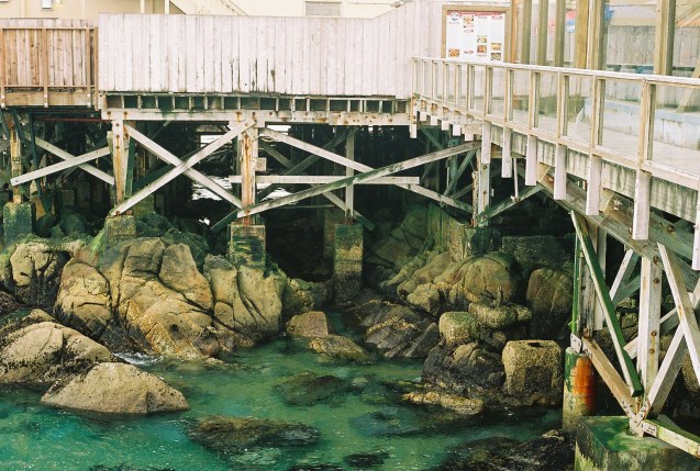 Joe Sterne Photography, Kodak iso800, 35mm film, canon ae-1,Monterey, CA, beach, west coast