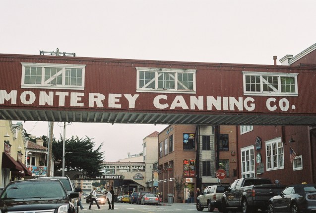 Joe Sterne Photography, Kodak iso800, 35mm film, canon ae-1,Monterey, CA, beach, west coast