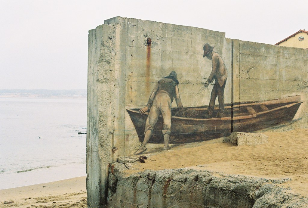 Joe Sterne Photography, Kodak iso800, 35mm film, canon ae-1,Monterey, CA, beach, west coast