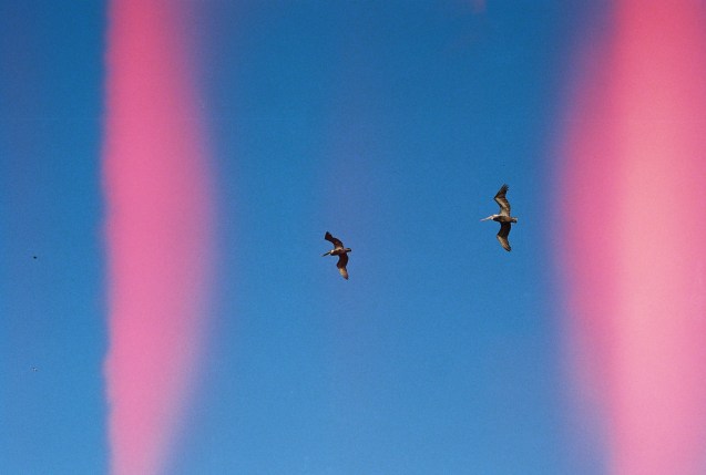 Joe Sterne Photography, Kodak iso800, 35mm film, canon ae-1, sutro baths, san francisco