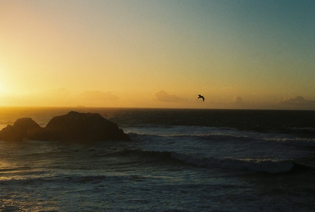 Joe Sterne Photography, Kodak iso800, 35mm film, canon ae-1, sutro baths, san francisco