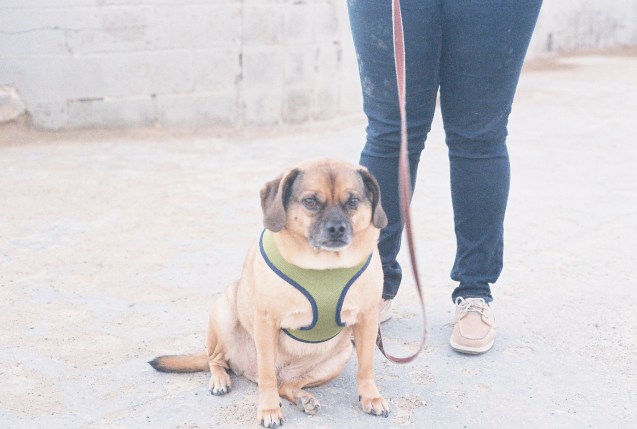 Joe Sterne Photography, Kodak iso800, 35mm film, canon ae-1, sutro baths, san francisco