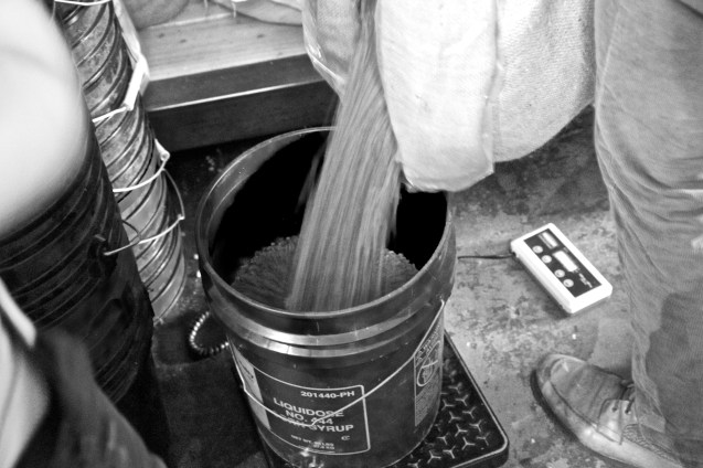 google local san francisco, joe sterne photography, fourbarrel coffee, coffee roaster, the mission, SF,