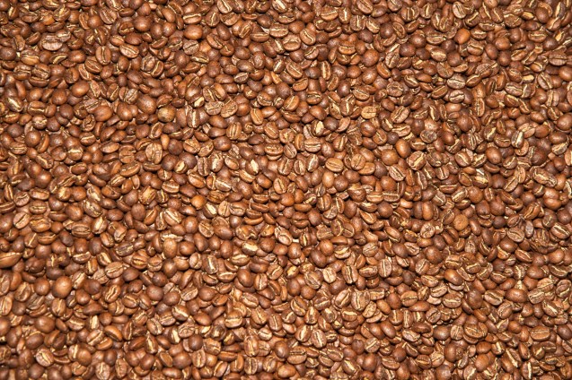 google local san francisco, joe sterne photography, fourbarrel coffee, coffee roaster, the mission, SF,