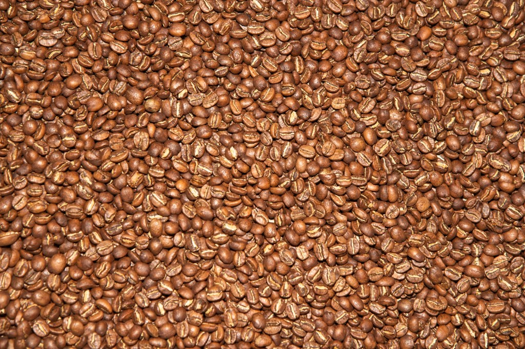 google local san francisco, joe sterne photography, fourbarrel coffee, coffee roaster, the mission, SF,