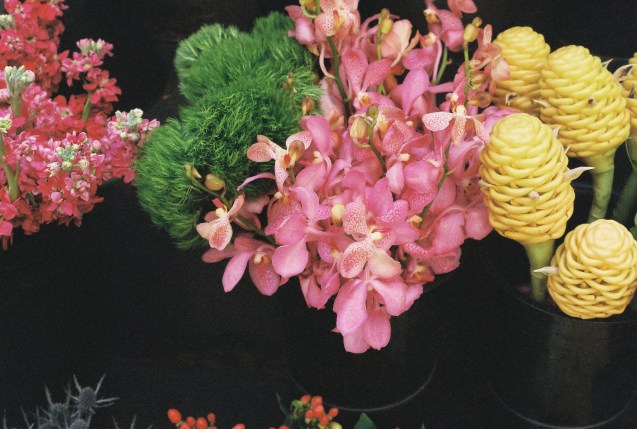 Yeah, it’s been a while since I posted anything about Project Film.  What happened was two fold. I started a new full time job and shot a ton of rolls of film around the same time. So I’m currently digging through a backload of photos and film that need to be developed. Here are some great shots that came off this roll- from the tail end of the Baker Beach photowalk to some great shots of the SOMA district. Check them out below and let me know what you think.  Want to see more? Check out my entire Project Film collection on Flickr here. 