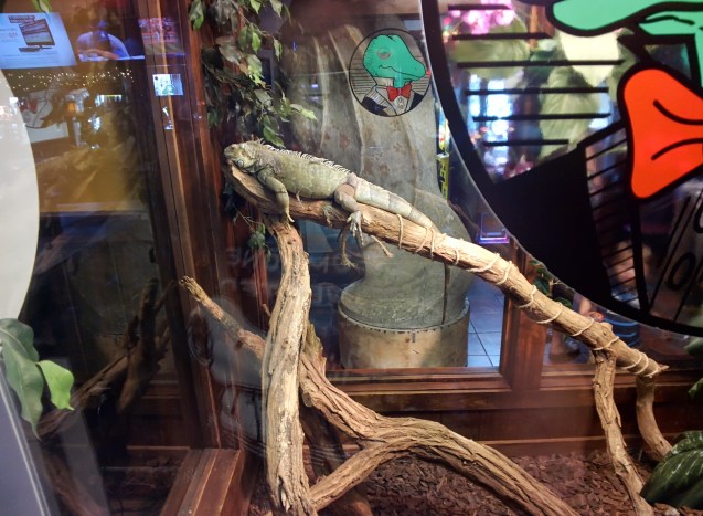 google glass,Cleveland , google, Glass, beta testing, travel