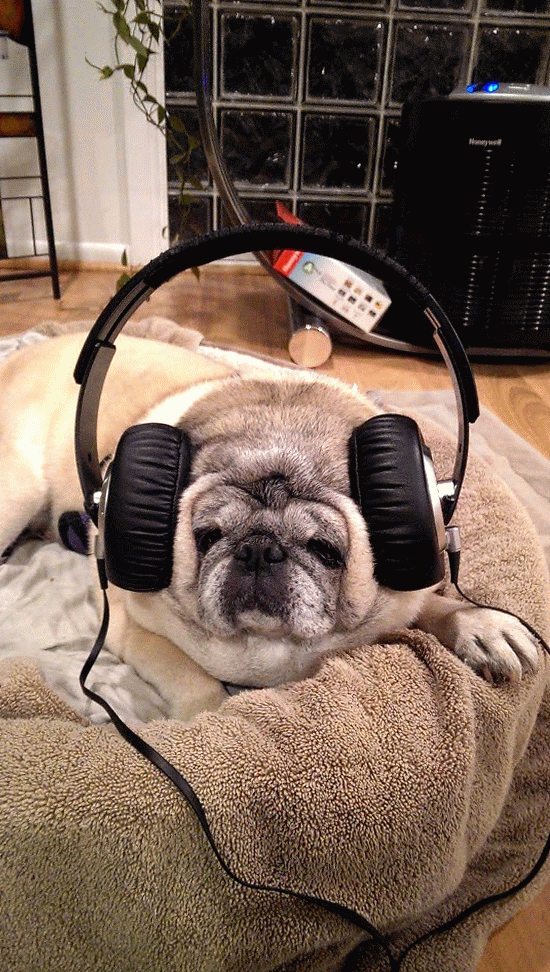 #joeandjules, #throughglass, google glass, wedding, solon ohio, sept 1st 2013, joe sterne, julia dachner