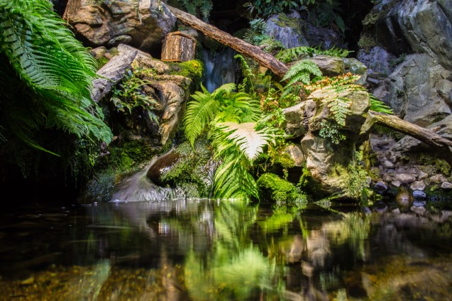 not so Sterne photography, joe Sterne, national aquarium, eos-m, baltimore, inner harbor