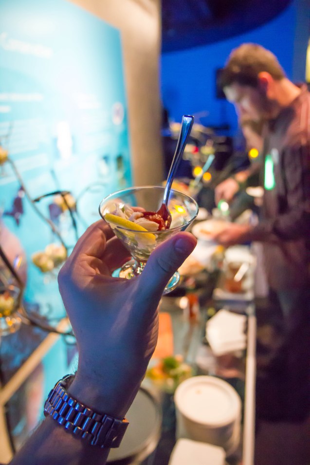 joe Sterne, google+, san francisco, california academy of sciences, google local, aquarium