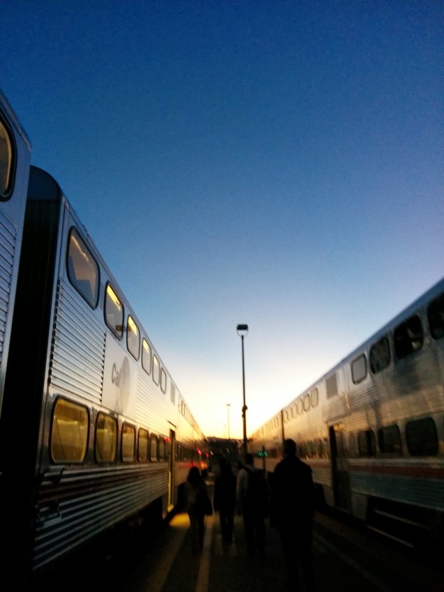 nexus 5, joe Sterne, not so Sterne photography, s4 vs nexus 5 review, product review