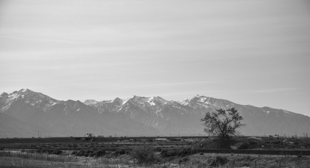 joe sterne, not so sterne photography, ohio, california