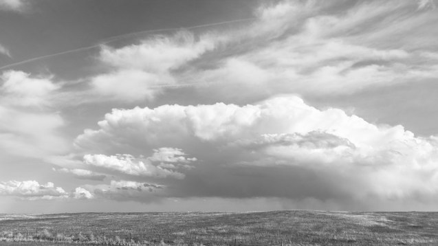 joe sterne, not so sterne photography, ohio, california