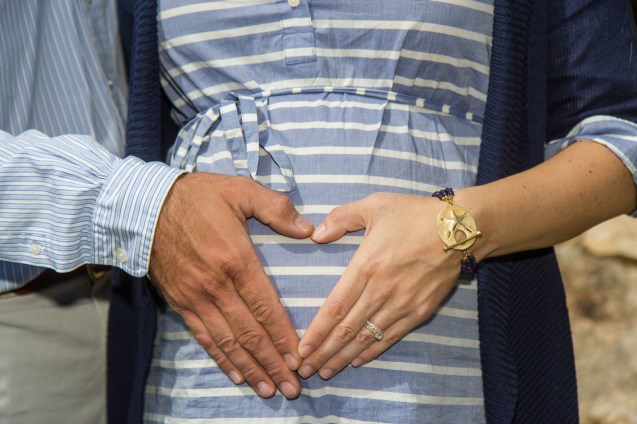 not so sterne photography, maternity shoot, baltimore maryland, dogs, indy