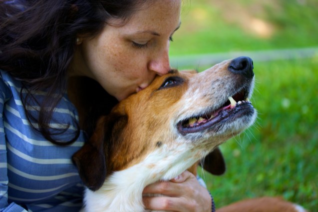 not so sterne photography, maternity shoot, baltimore maryland, dogs, indy