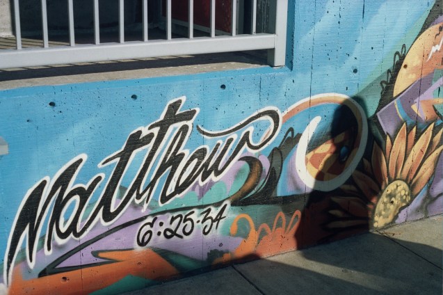 project film, film 35mm, joe sterne, not so sterne photography