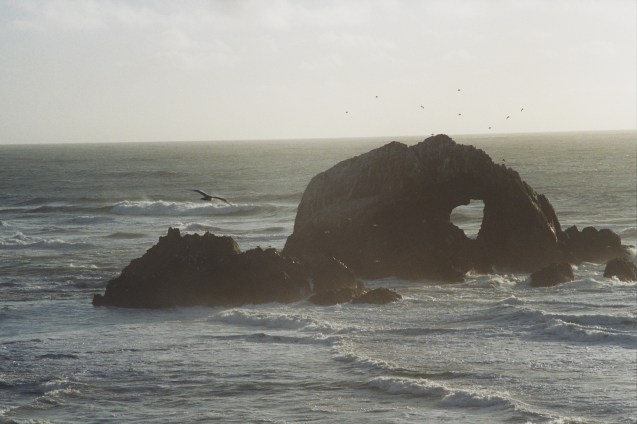 project film, film 35mm, joe sterne, not so sterne photography