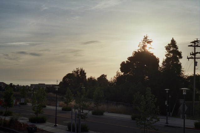 project film, film 35mm, joe sterne, not so sterne photography