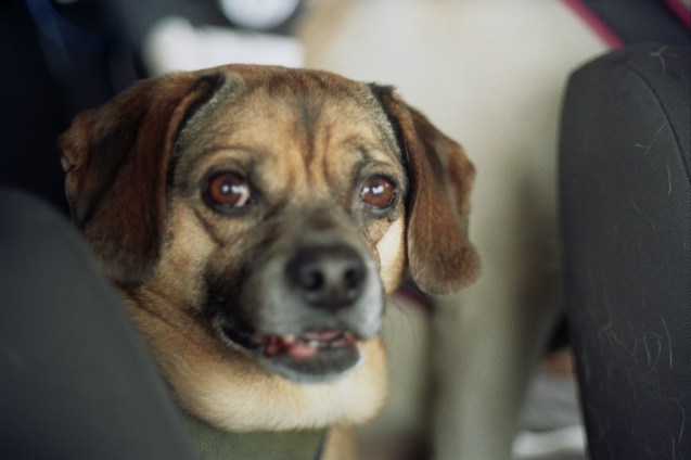 joe sterne, not so sterne photography, project film, 35mm film