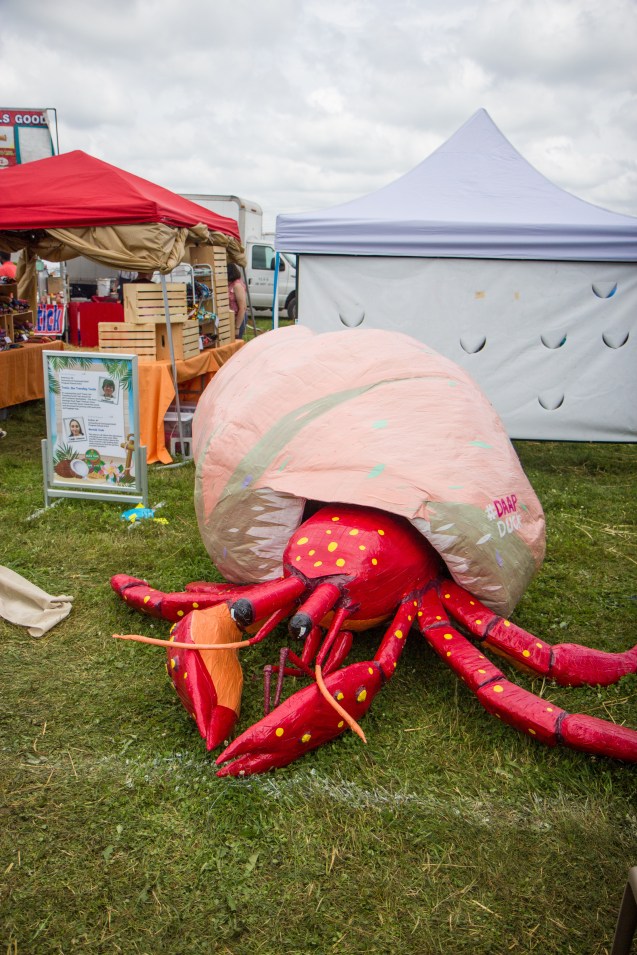 joe sterne, duct tape festival, not so sterne photography