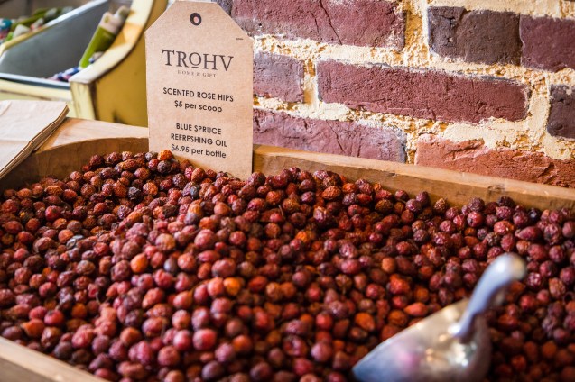 joe sterne, the photowalk alliance, baltimore, not so sterne photography, TROHV