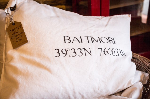 joe sterne, the photowalk alliance, baltimore, not so sterne photography, TROHV