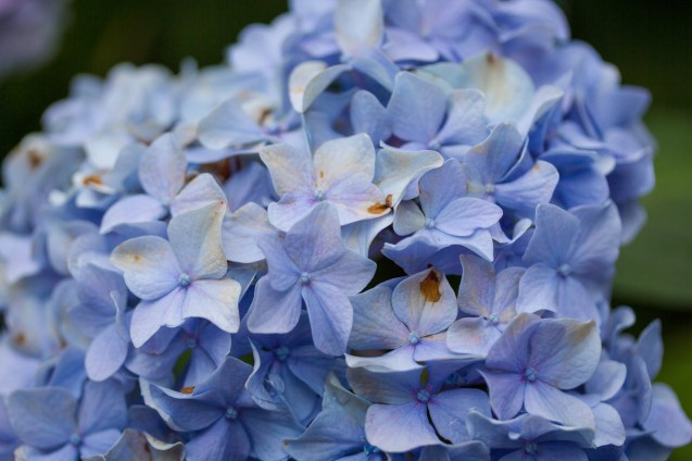 joe sterne, baltimore, not so sterne photography