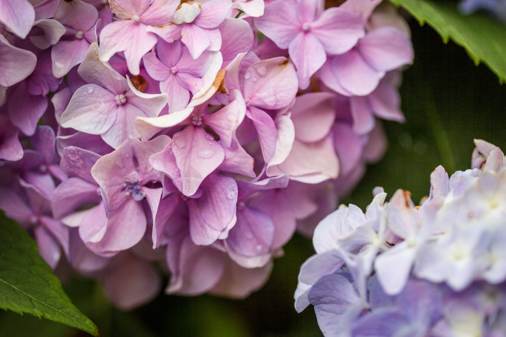 joe sterne, baltimore, not so sterne photography