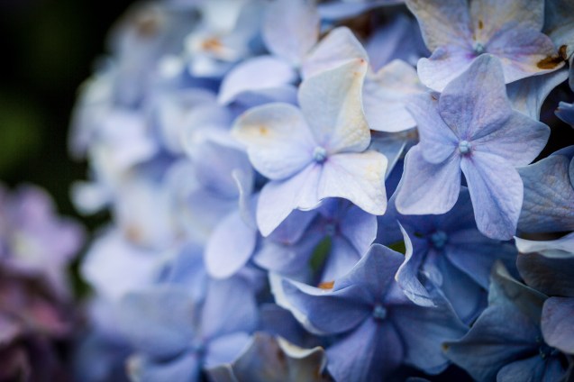 joe sterne, baltimore, not so sterne photography