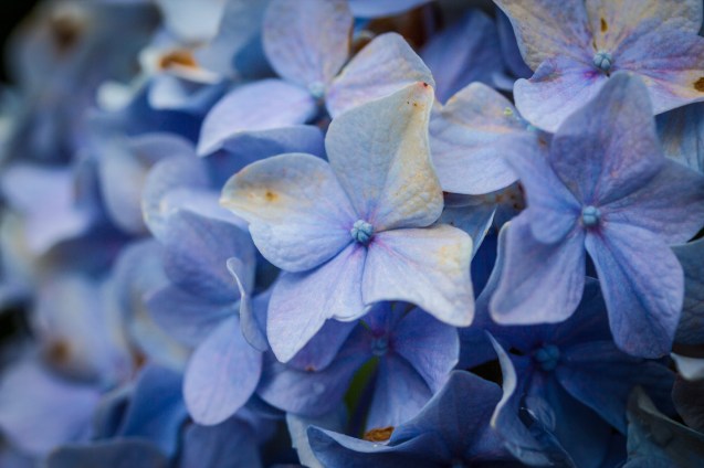 joe sterne, baltimore, not so sterne photography