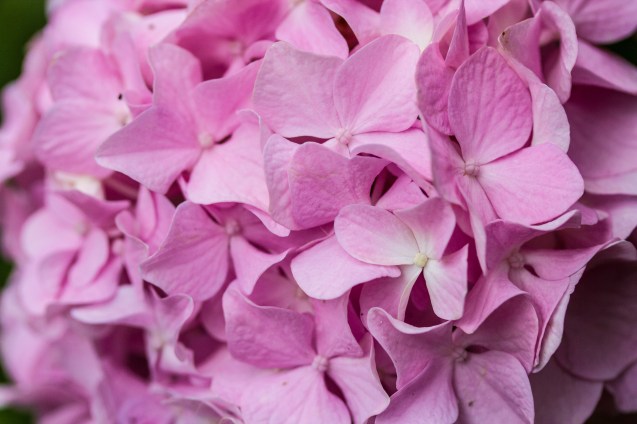 joe sterne, baltimore, not so sterne photography