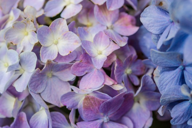 joe sterne, baltimore, not so sterne photography