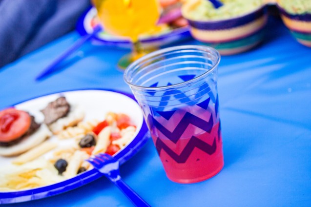 cheeky, target, not so sterne photography, joe sterne, 4th of july, product photography