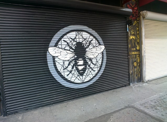 Joe Sterne, Not So Sterne Photography, Los Angeles, Travel, California