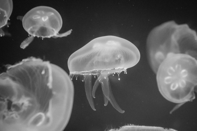 Joe Sterne, Not So Sterne Photography, Los Angeles, Travel, California