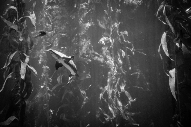 Joe Sterne, Not So Sterne Photography, Los Angeles, Travel, California