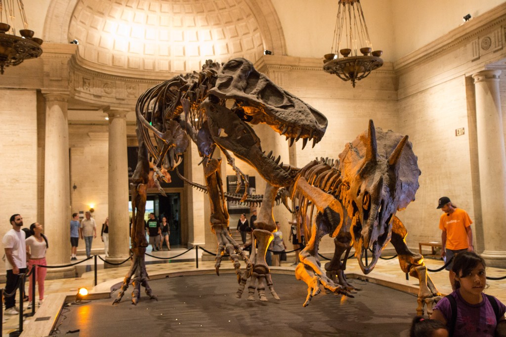 Joe Sterne, Not So Sterne Photography, Los Angeles, Travel, California