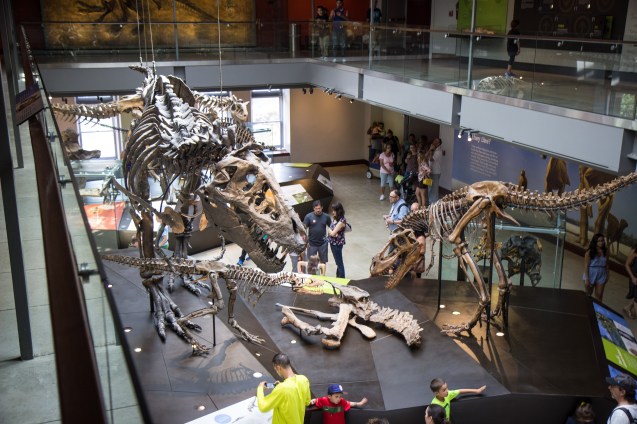 Joe Sterne, Not So Sterne Photography, Los Angeles, Travel, California