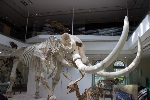 Joe Sterne, Not So Sterne Photography, Los Angeles, Travel, California