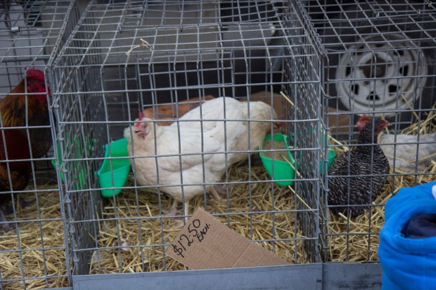 joe sterne, not so sterne photography, melbourne, australia,travel