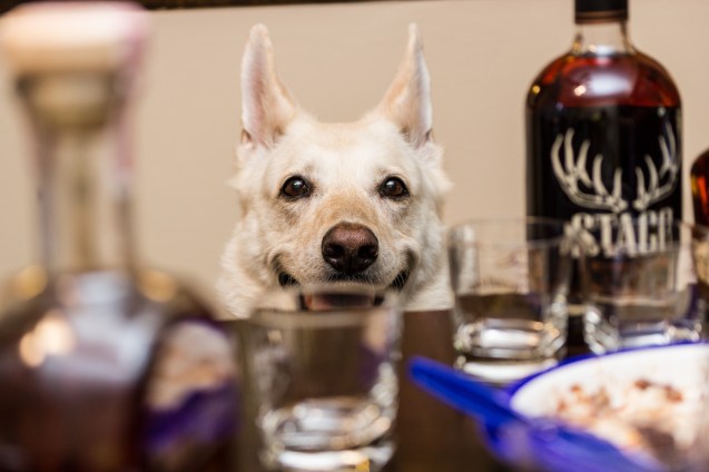 joe sterne, not so sterne photography, bourbon, bourbon tasting, ohio, cleveland