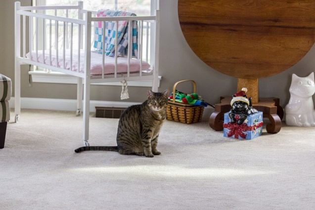 not so sterne photography, joe sterne, maternity shoot, katie and lucian, ohio, cleveland