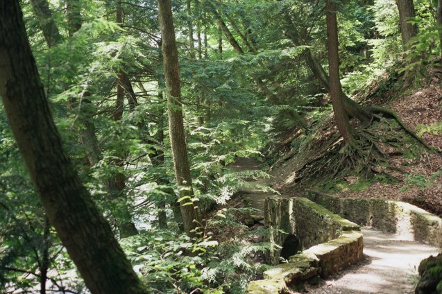 #projectfilm, 35mm film, canon ae-1, cleveland, metroparks, squaw rock